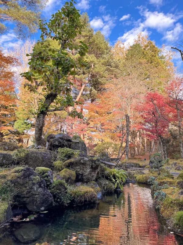 Les couleurs sont magnifiques en automne