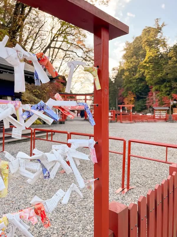 Des omikuji ou prédictions de bonne fortune