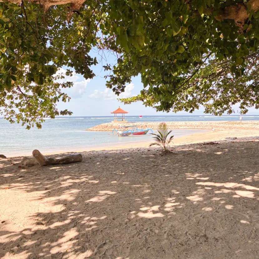 Profitez de la plage en fin d'après-midi…